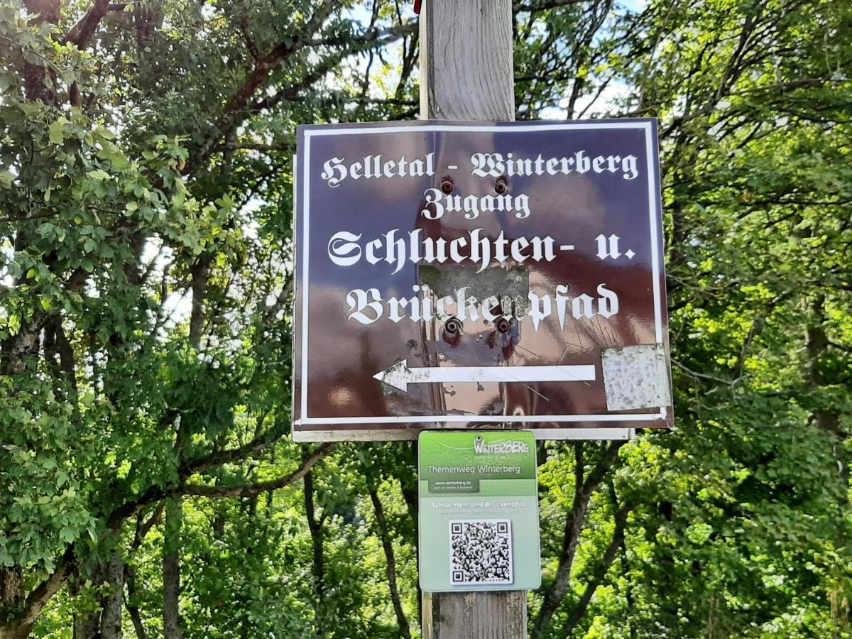 Ferienwohnung Zeitlos, Gigantischer Seeblick, Wlan, Gerne Mit Hund Винтерберг Екстериор снимка